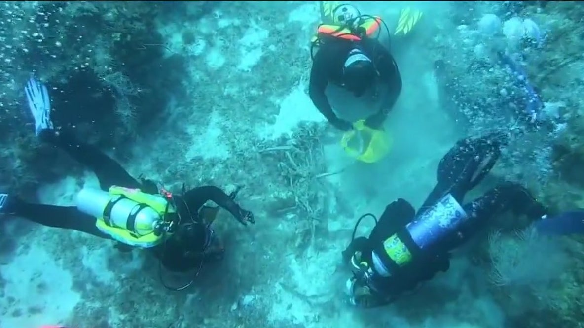 Cleaning up the Florida Keys